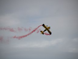 rodenberg2025 43